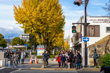Himeji, Hyogo, Japan - November 23, 2018: Tourists waiting traffic light at pedestrain crossing on street decorated by yellow leaf trees.のeditorial素材