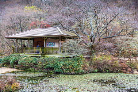 Mount Rokko, Kobe, Hyogo, Japan - November 25, 2018: Rokko alpine botanical garden, leaves starting to fall in autumn.のeditorial素材