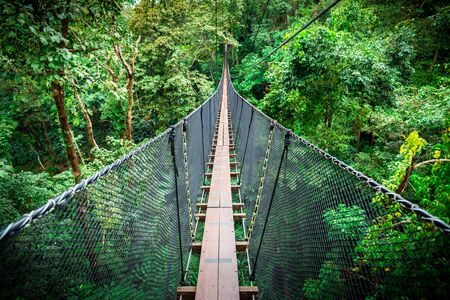 Wooden bridge over top of tree for adventure walking and sight seeing inside tropical forest. Bridge covered by black net and sling as wall.の写真素材