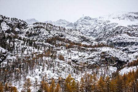 Rock mountains and pine forest covered by snow, trees change color to orange in winter of Furi,...