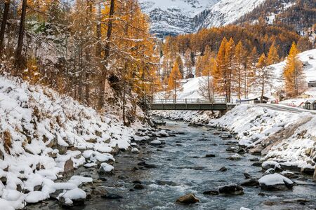 Landscape of rocky stream alongside in pine woods covered by snow in winter, Zermatt, Switzerland.