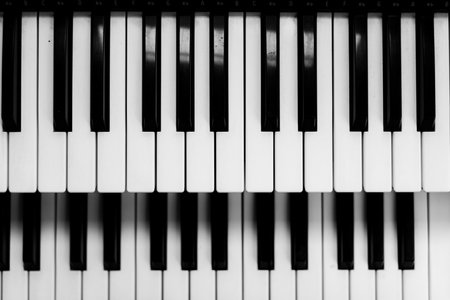 Close focus on upper row of piano keyboard in black and white.の写真素材