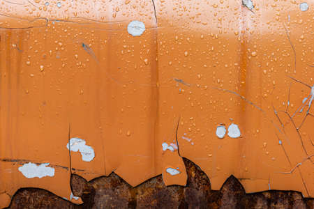 Close up on wet background of orange grunge and rusty metal surface after raining, coating peeled...