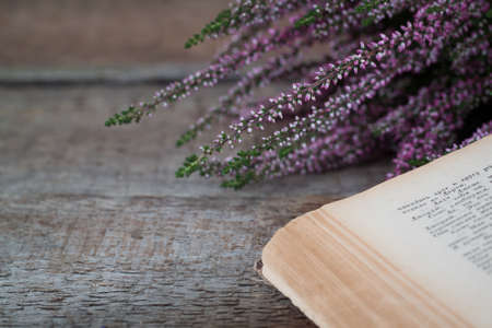 Heather on the background of old book, goriszontal viewの写真素材