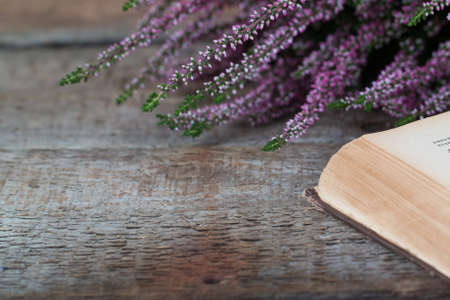 Heather on the background of old bookの写真素材