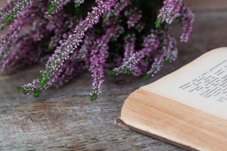Heather on the background of old book,の写真素材