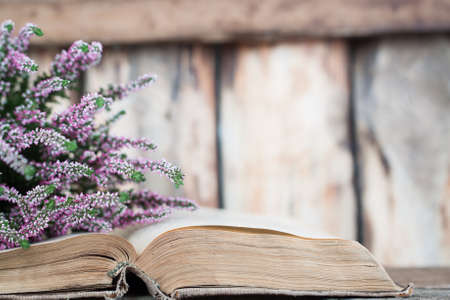 Heather on the background of old book