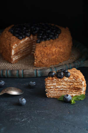 Homemade honey cake with blueberries on the dark background