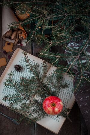 Red and yellow apple on a branch of a Christmas-tree and an old book near the black lantern or candlehander. With nuts and ginger-snap, cones and dried cranberries. Toned. Flatlay.の写真素材