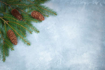 Branches of a Christmas tree on the blue concrete background. With a copy-spaceの写真素材