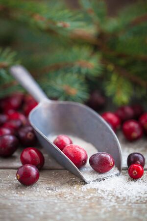 Christmas fersh cranberries in sugar on an old rustic backgroundの写真素材