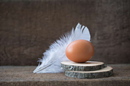 Chicken egg with white feather on the rustic background. Easter postcard concept. With a copyspaceの写真素材