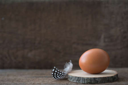 Chicken egg with white feather on the rustic background. Easter postcard concept. With a copyspaceの写真素材