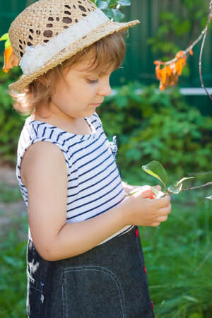 A little girl in a straw hat in a summertime vacation, tonedの写真素材
