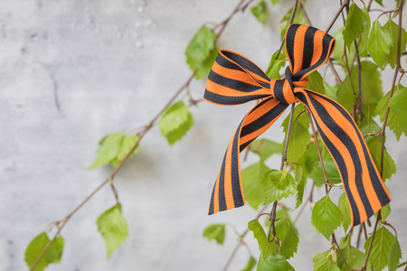 The George ribbon on the birch Victory Day 9 May postcard concept, toned vintageの写真素材