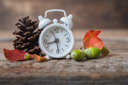 Back to school Alarm clock, leaves and cones, September 1, tonedの写真素材