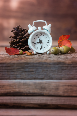 Back to school Alarm clock, leaves and cones, September 1, tonedの写真素材