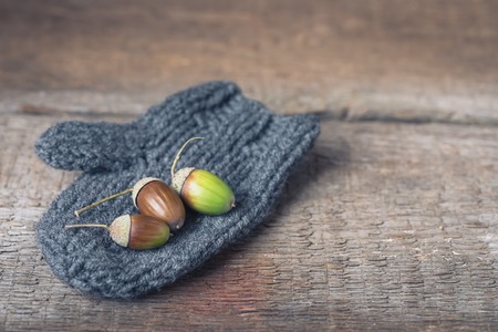 Grey wool mitten with acorns on wooden background, autumn postcard concept, tonedの写真素材