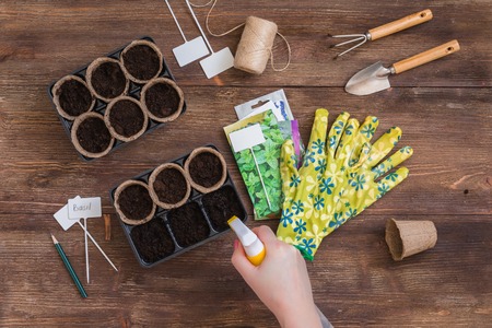 Stages of planting seeds, preparation, gardeners tools and utensils, colorful gloves, organic pots, scissors, woman hands spraying water on the soil in organic potsの写真素材