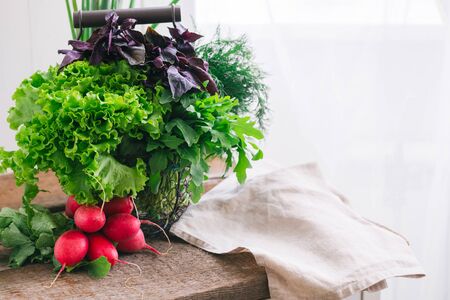 Fresh cutted herbs from garden on wooden rustic background