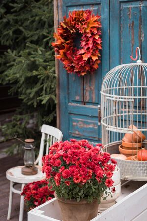 Autumn backyard decoration with flowers, maple leaves and old cage, tonedの写真素材