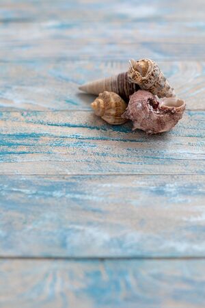 Turquoise blue beige sea colored old vintage wood with boards, Shabby chic France Provence style with sea shellsの写真素材