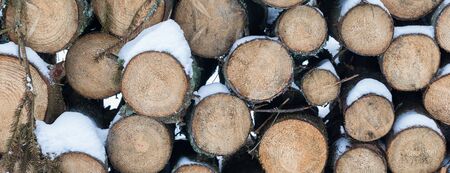 Pile of wooden logs under snow in winter, background, selective focus, fur tree branches with lichen and mossの写真素材