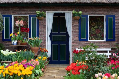 Moscow, Russia, February 15, 2020. Spring tulip flower show at the Botanical gardens, colorful garden in front of the cottage with Holland styled windows and doorのeditorial素材