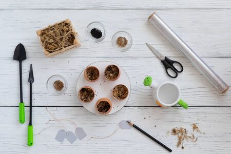 Stages of planting and growing microgreens in egg shells, watercress, mustard, basil indoor, gardening instruments, watering can, scissors, seeds, paper tagsの写真素材