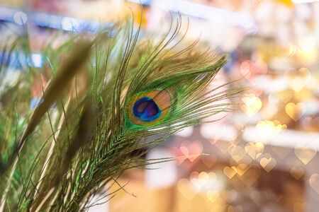 Green and brown peacock feather with heart shaped texture background, 20s retro styled postcard conceptの写真素材