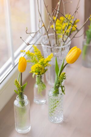 Composition with yellow vivid fresh tulips with mimosa in glass vases on windowsill, March 8, Easter, Mother's and Women's Day postcard greeting conceptの写真素材