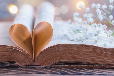 Old opened book, heart shaped paper sheets, World Book Day, Teachers Knowledge Day, concept, toned vintageの写真素材