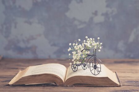 Old book, miniature iron bicycle with white fresh flowers on wooden background, World Book Day, Teachers Knowledge Day concept, toned vintageの写真素材