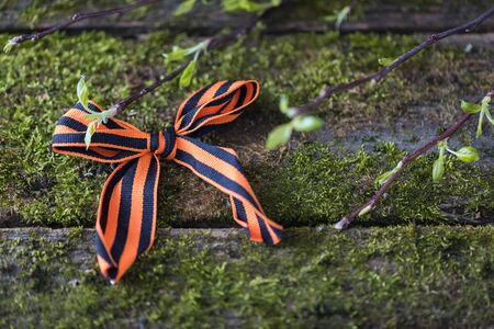 St. George ribbon on natural moss wooden background, symbol of Victory Day May 9, tonedの写真素材