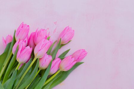 Colorful spring vivid fresh tulips bouquet background, gardening, March 8, Easter, Mother's and Women's Day greeting conceptの写真素材