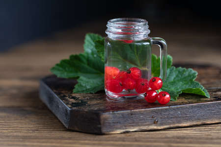 Homemade liqueur in shot glass with red current berries on the table. Fruit flavor alcohol drink with natural ingredients concept.の写真素材