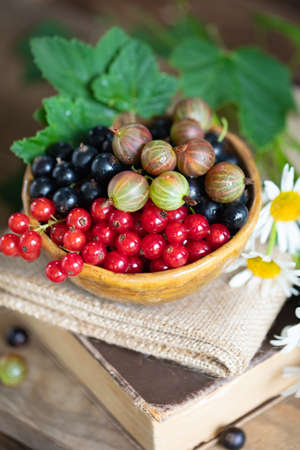 Red and black currant berries in ceramic bowl and old book on a wooden background,cottagecore lifestileの写真素材