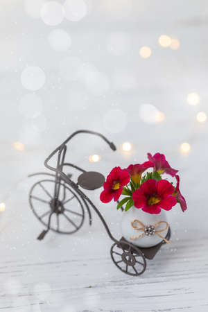 Red petunia flowers in miniature vase, greeting postcard background, March 8, Mother's Day, Birthday, invitationの写真素材