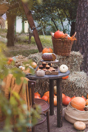 Seasonal table setting with pumpkin sweet cake and muffins, tonedの写真素材