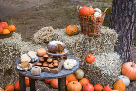 Seasonal table setting with pumpkin sweet cake and muffins, tonedの写真素材