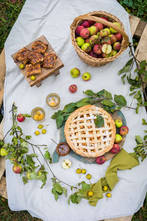 Summertime picnic composition with homemade apple pie, glasses of stewed fruit, tree branchesの写真素材