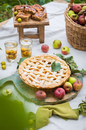 Summertime picnic composition with homemade apple pie, glasses of stewed fruit, tree branchesの写真素材