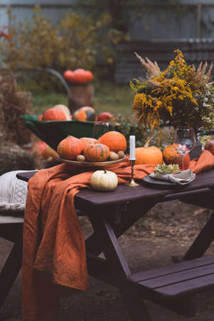 Fall themed holiday table setting arrangement for a seasonal party, glasses, pumpkins, candles, field flowersの写真素材