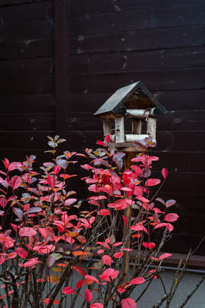 Handmade wooden bird feeder among autumn red leaves, toned