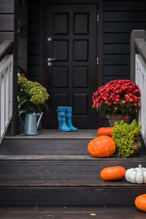 Pumpkins, colorful potted flowers, rain boots on front steps of the house, autumn holidays decorationの写真素材