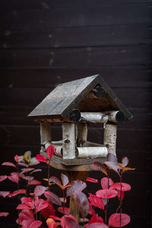 Handmade wooden bird feeder among autumn red leaves, toned