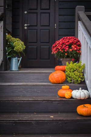 Pumpkins, colorful potted flowers and plants on front door steps of the house, autumn holidays decorationの写真素材