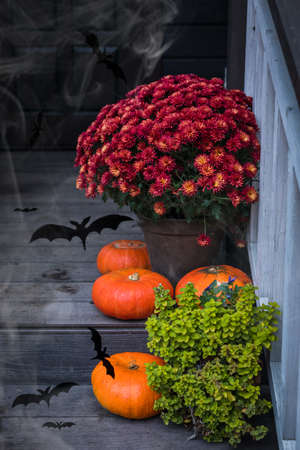 Halloween garden composition - bright orange pumpkins, colorful chrysanthemum potted, front door...