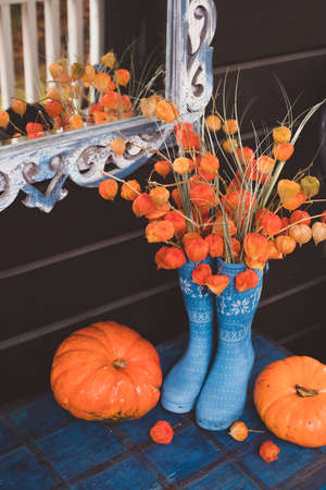 Autumn composition with bright orange pumpkins and a bouquet of physalis, tonedの写真素材