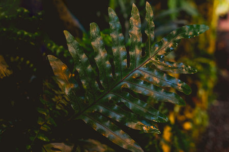 Relaxing gold toned textured green leaves backgroundの写真素材